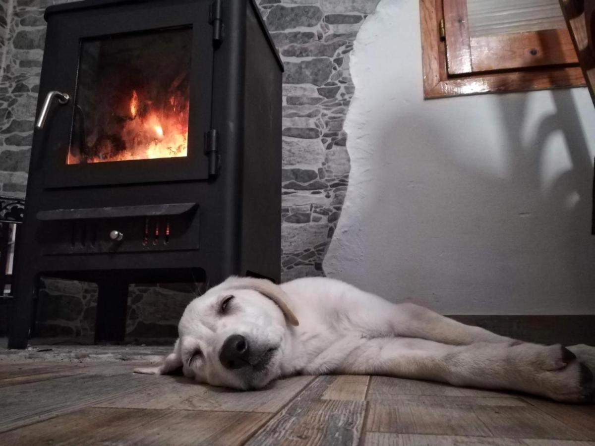Hauzify I Ca La Nena Morena Villalba Saserra Dış mekan fotoğraf