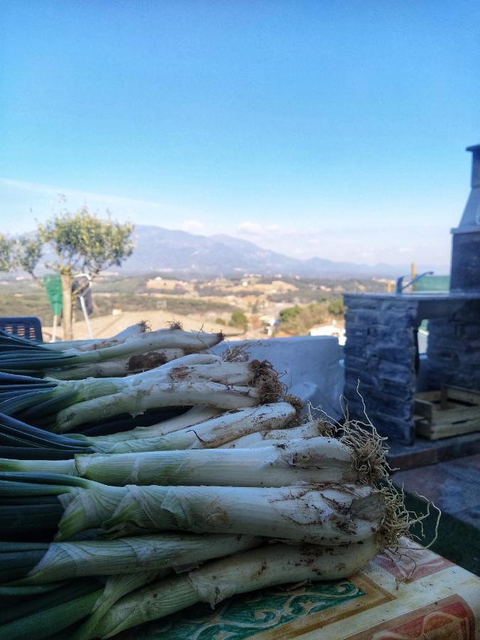 Hauzify I Ca La Nena Morena Villalba Saserra Dış mekan fotoğraf
